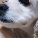 이기섭의원 이미지