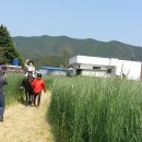 봉계축산