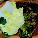 청하생고기 이미지