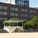 양강중학교 이미지