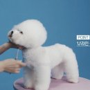 오드리펫 이미지