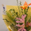 성수일로12길 | [성수] 성수 사진일기 방문 후기 📷 l 기념일 데이트 스냅 추천✨