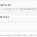 이글 드림팀