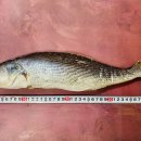 전통돔베기 이미지