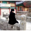 [월]..... 땅끝마을 해남 일박 이일기 2탄 여기는 대륜산 대흥[사]~~ 이미지