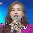 미스짱 이미지