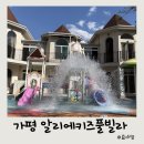 미쉘키즈풀빌라펜션 | 가평 수영장펜션 알리에키즈풀빌라 키즈캐슬 내돈내산 후기