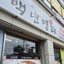 백년명태 이미지