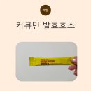 소은농장 | 속 더부룩할 때 챙겨본 곡물발효효소, 커큐민 발효효소 리얼 후기