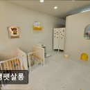 오댕펫살롱