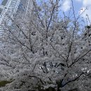 짱오락실 동탄2호점 이미지