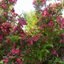 역사기행 코스 이미지