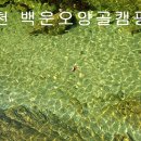 2014년 10월 25일 포천 백운오양골캠핑장