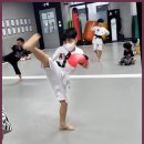 타이거 합기도 | 달성군합기도 타이거합기도킥복싱, 자아추구와 자기방어의 끝판왕