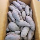 마이산꿀