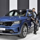 카데렐라 이미지