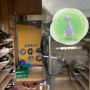 동천덕오리 이미지