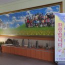 도산초등학교 이미지