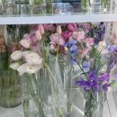 영등포 양평역 꽃집 트레플 내돈내산 꽃다발 주문 솔직 후기