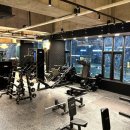 닥터피티 이미지