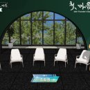 세일링라이브 네이버블로그