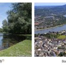 신의 젖줄 이미지