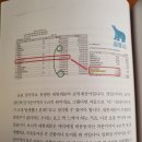 핫한 그 회사, 진짜 잘 나갈까 이미지