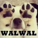 WALWAL(왈왈) 네이버블로그