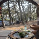 맹방 비치캠핑장 이미지