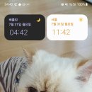 튠아델 네이버블로그