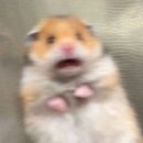 강쇠풍천숯불장어 이미지