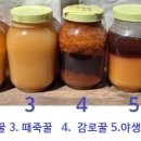 온도와 효소와 꿀 이미지