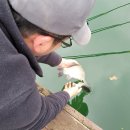 청풍낚시터 이미지