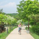 영주 자전거공원 이미지