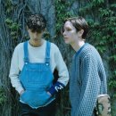 페노메논 카카오 검색결과