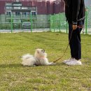 세연고등학교 이미지