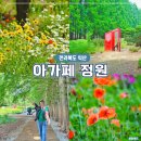 전북노인정신의학회 | 익산 가볼만한곳 여름 아가페정원 볼거리 메타세콰이어 꽃구경