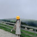 강원도 여행 :: 속초, 평창, 강릉 3박 4일 여행 코스 (1)