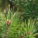 원적경로당 이미지