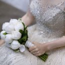 호텔제이탑 | 크리드제이 본식 웨딩드레스 추천 후기 (비즈, 실크, 레이스 드레스)