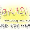연어애 이미지
