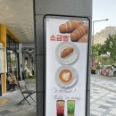 모어레스세종