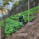 청정2농장 이미지