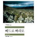 수산나목장 | 뻬드로 빠라모-후안 룰포