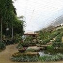 순천자연휴양림 이미지