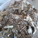 명원농장 이미지