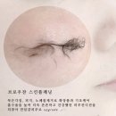 브로우찬