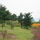 H8358 Daum카페