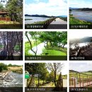 창녕 우포늪 이미지