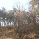 장씨농장 이미지